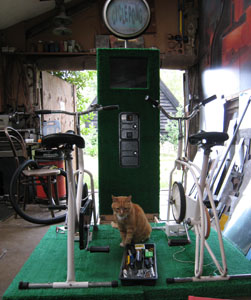 Cyclepong and a cat